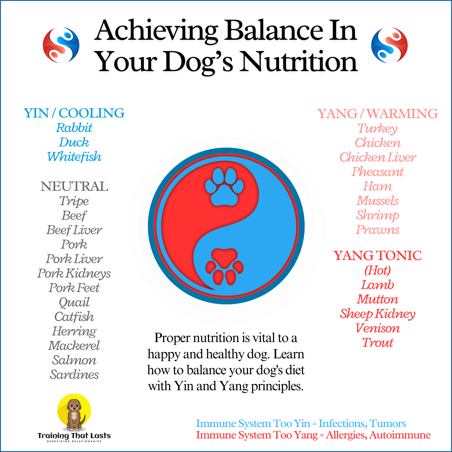 Achieving balance in your dog's nutrition